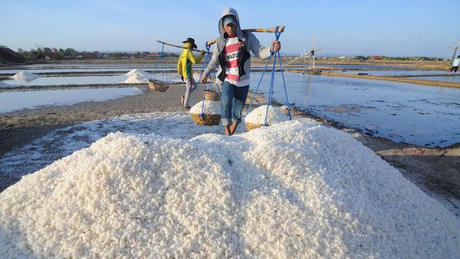 Rencana_Impor_Garam_Ditarget_Berhenti_di_Akhir_2027,_Pemerintah